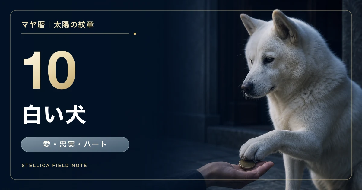 マヤ暦の白い犬とは?性格・恋愛・仕事・相性と信頼を育てる方法